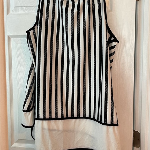 Gorgeous fancy tank. Plus size 4X - Picture 2 of 4